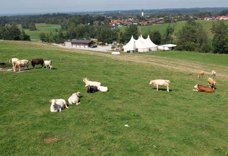 Biowurst und Biokäse ab Hof aus Riedering bei Rosenheim